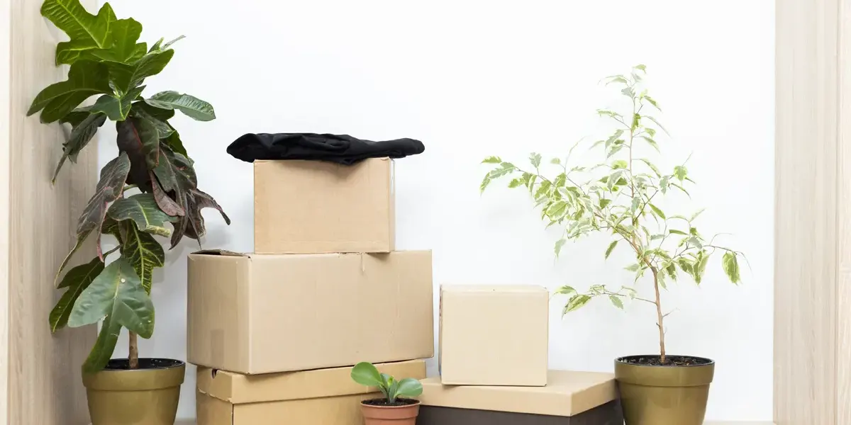 Feature Image How To Move House With Pot Plants