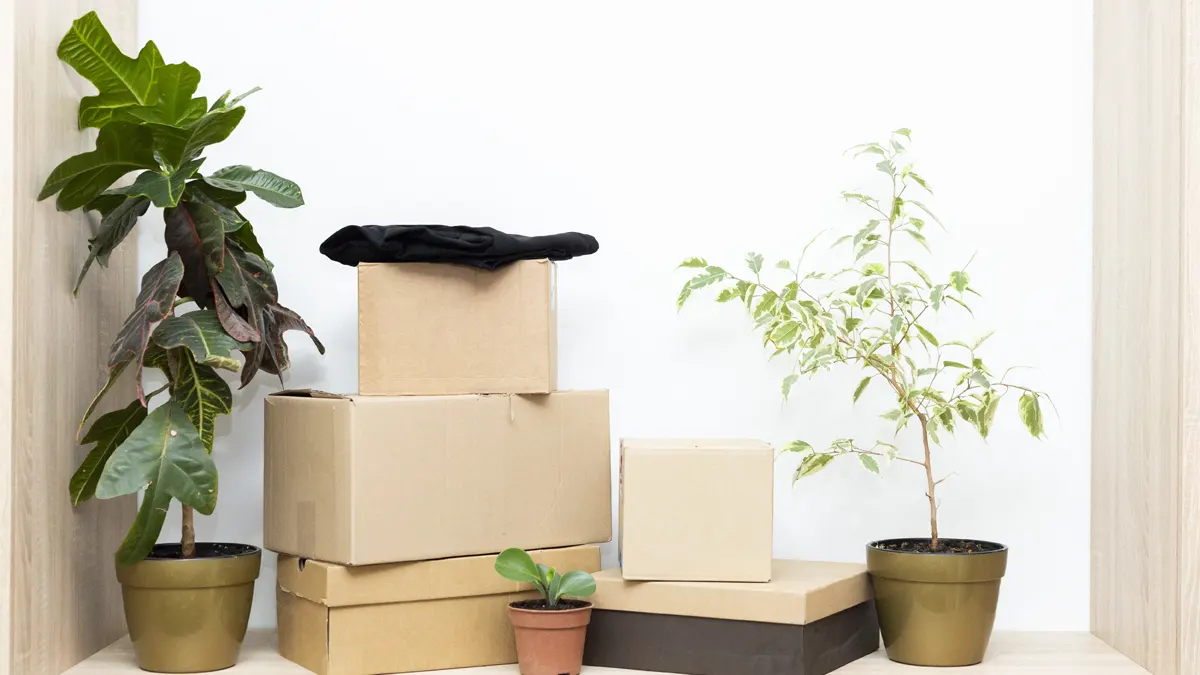 How To Move House With Pot Plants