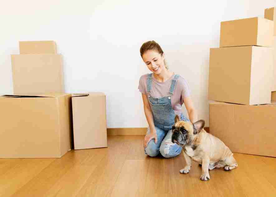 an owner calming down their dog amidst the moving process